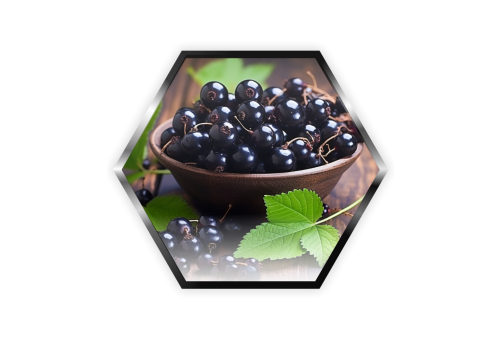 Palladium - Black currant 200g