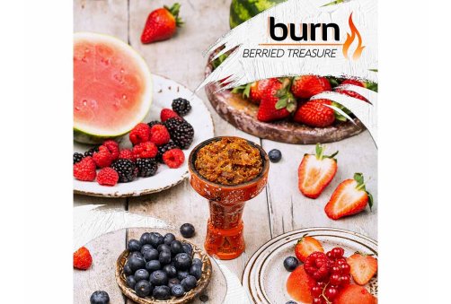 Burn - Berrid Treasure 100g