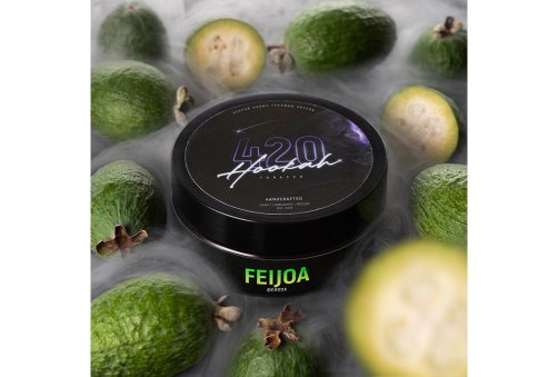 420 - Frost Line - 100g - Berry Zen