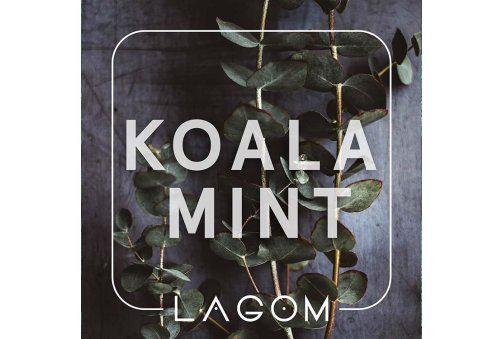 Lagom Main - Koala Mint (Морозний Orbit евкаліпт) 40g