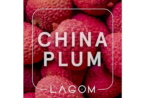 Lagom Main - China Plum (Вкус терпкого свежего личи) 40g