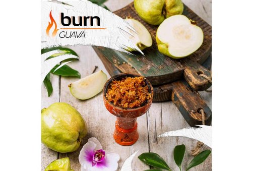 Burn - Gauva 100g