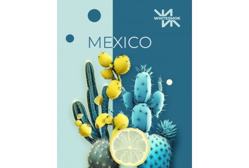 White Smok - Mexico (Солодкий Кактус Лайм) 50g