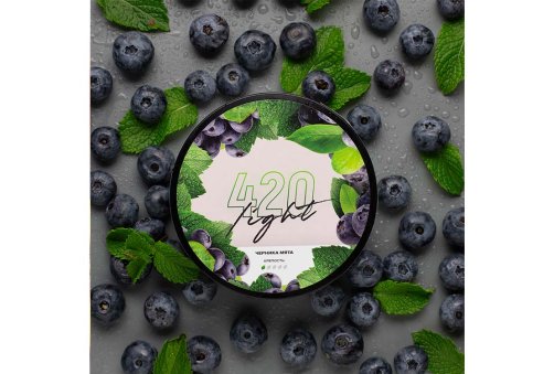 420 Light - 100g - Черника Мята