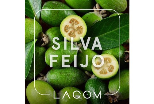 Lagom Main - Silva Feijo 2.0 (Терпкий изящный вкус фейхоа с кислинкой) 40g