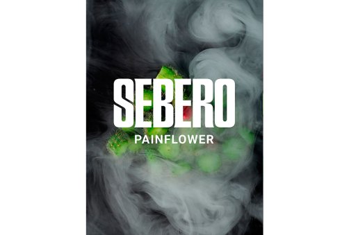 Sebero - Кактус (Painflower) 40g