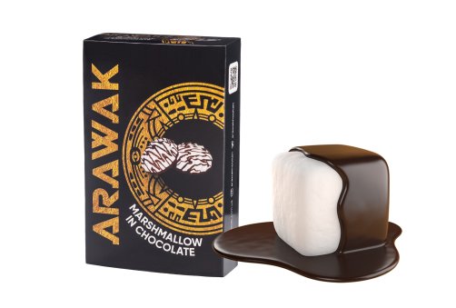 Arawak - 40g - Marshmallow in Chocolate