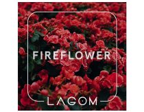 Lagom Main - Fireflower (Насыщенный цветочный аромат с сочетанием ноток пряных специй) 40g