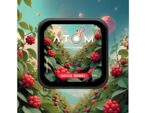 Atom - Shock Berries 250g