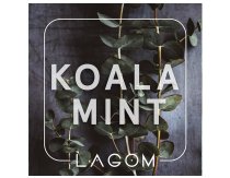 Lagom Main - Koala Mint (Морозный Orbit эвкалипт) 40g