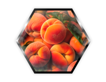 Palladium - 200g - Peach