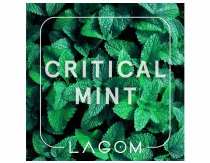 Lagom Main - Critical Mint (Вкус свежей сладкой мяты) 200g