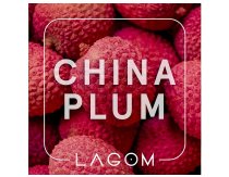 Lagom Main - China Plum (Вкус терпкого свежего личи) 40g