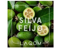 Lagom Main - Silva Feijo 2.0 (Терпкий изящный вкус фейхоа с кислинкой) 40g