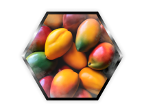 Palladium - 200g - Mango