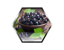 Palladium - 200g - Black currant